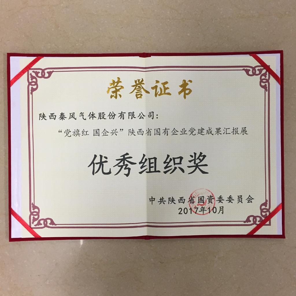 威客电竞党支部荣获陕西省国有企业党建成果汇报展优秀组织奖